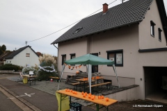 STE_0056