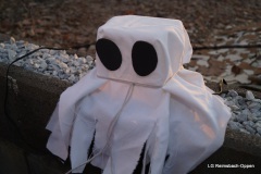 lgro-2019-hl-032