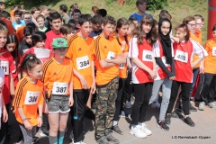 lgro-2019-slm-252