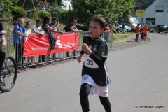 lgro-2019-slm-260