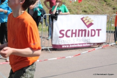 lgro-2019-slm-302